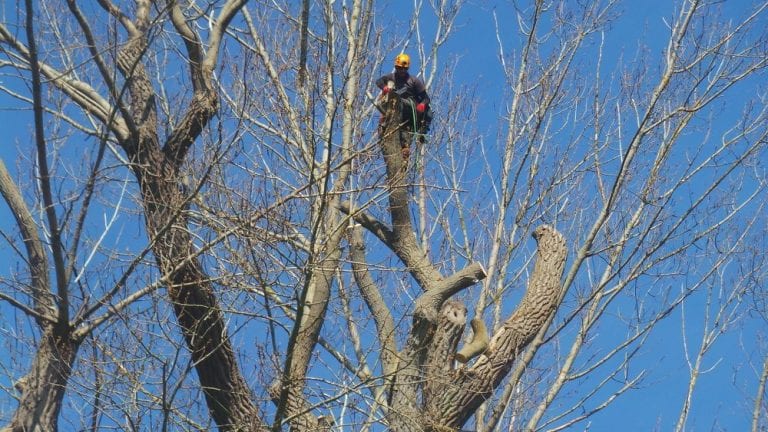 10687248_10153288326229696_8719950217347270008_o