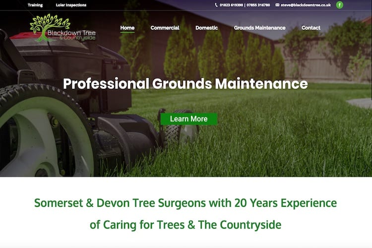 blackdown tree and countryside