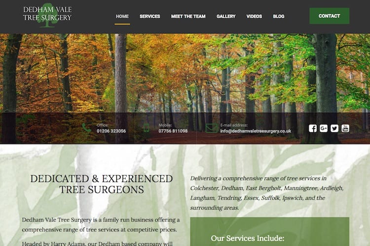dedham vale tree surgeon