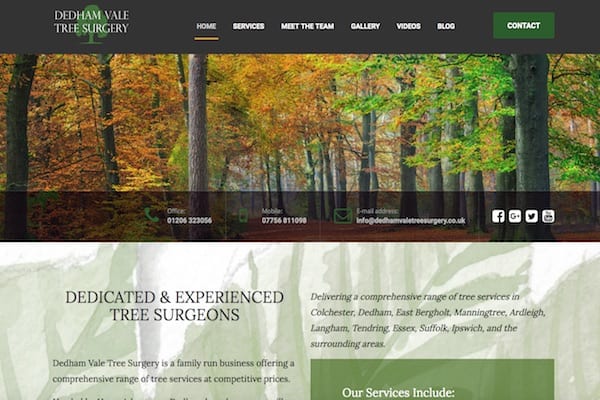 Dedham Vale Tree Surgery