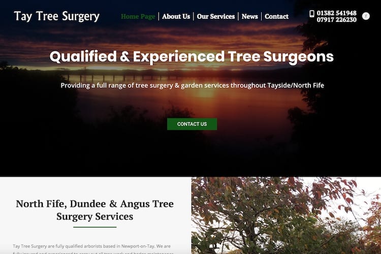 tayside tree surgeon