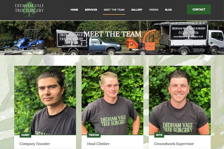 tree surgeon manningtree