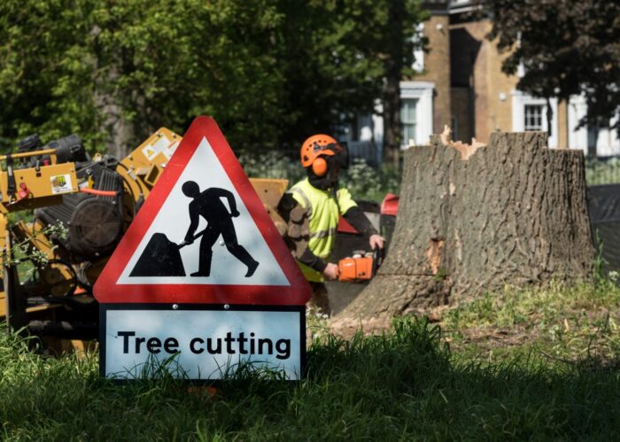 tree surgeon SEO