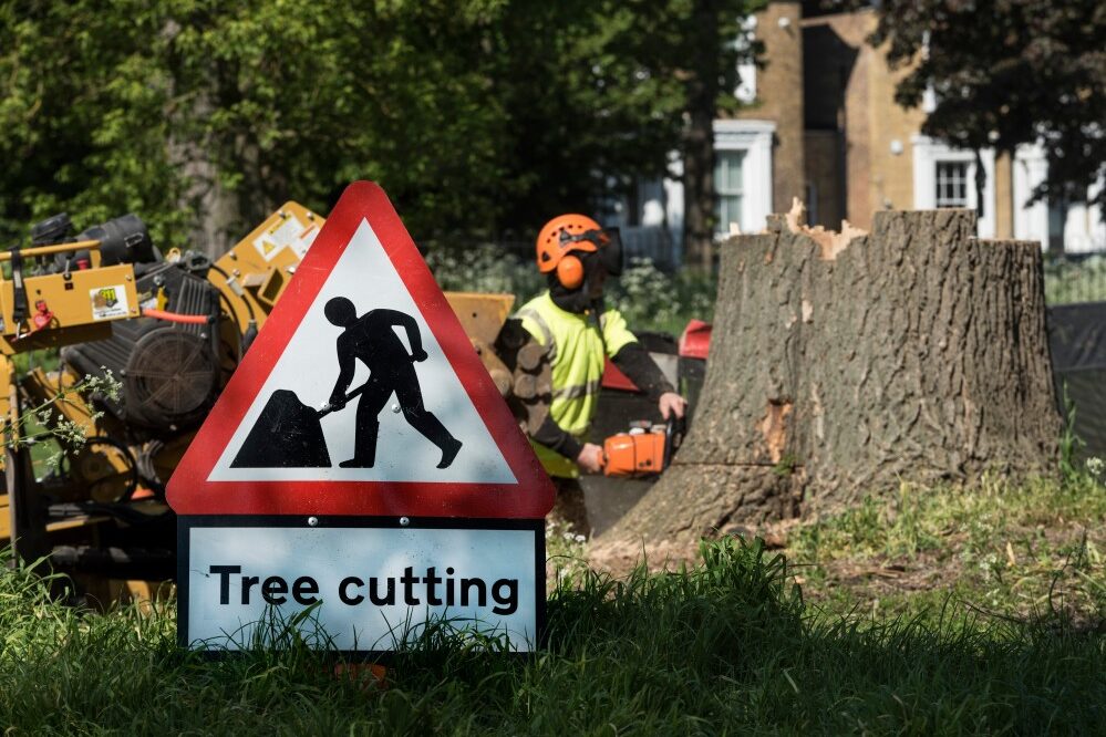 tree surgeon SEO