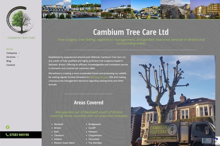 cambium tree care
