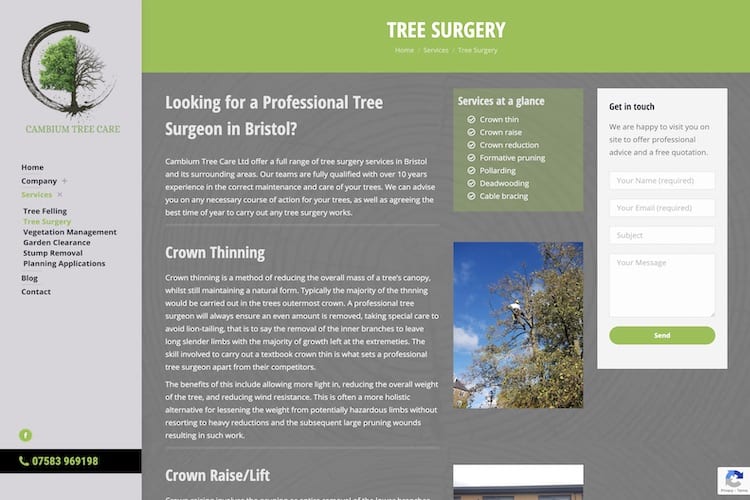 bristol tree surgeon.