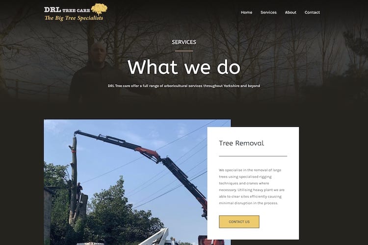 drl tree care services.