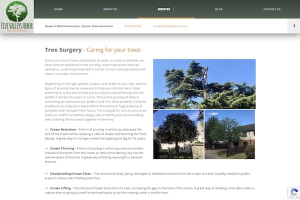 gloucestershire tree surgeon
