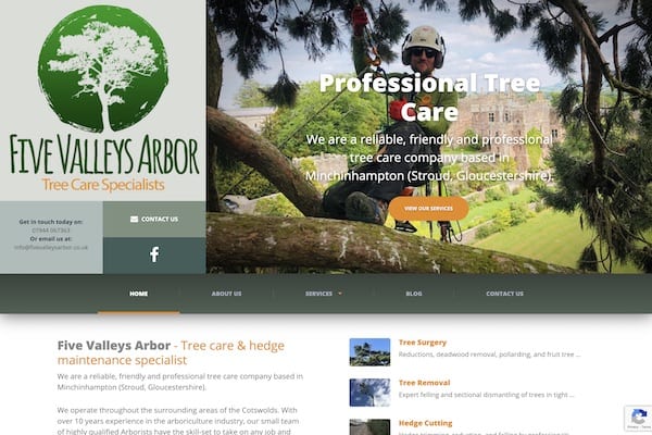 tree surgeon stroud.